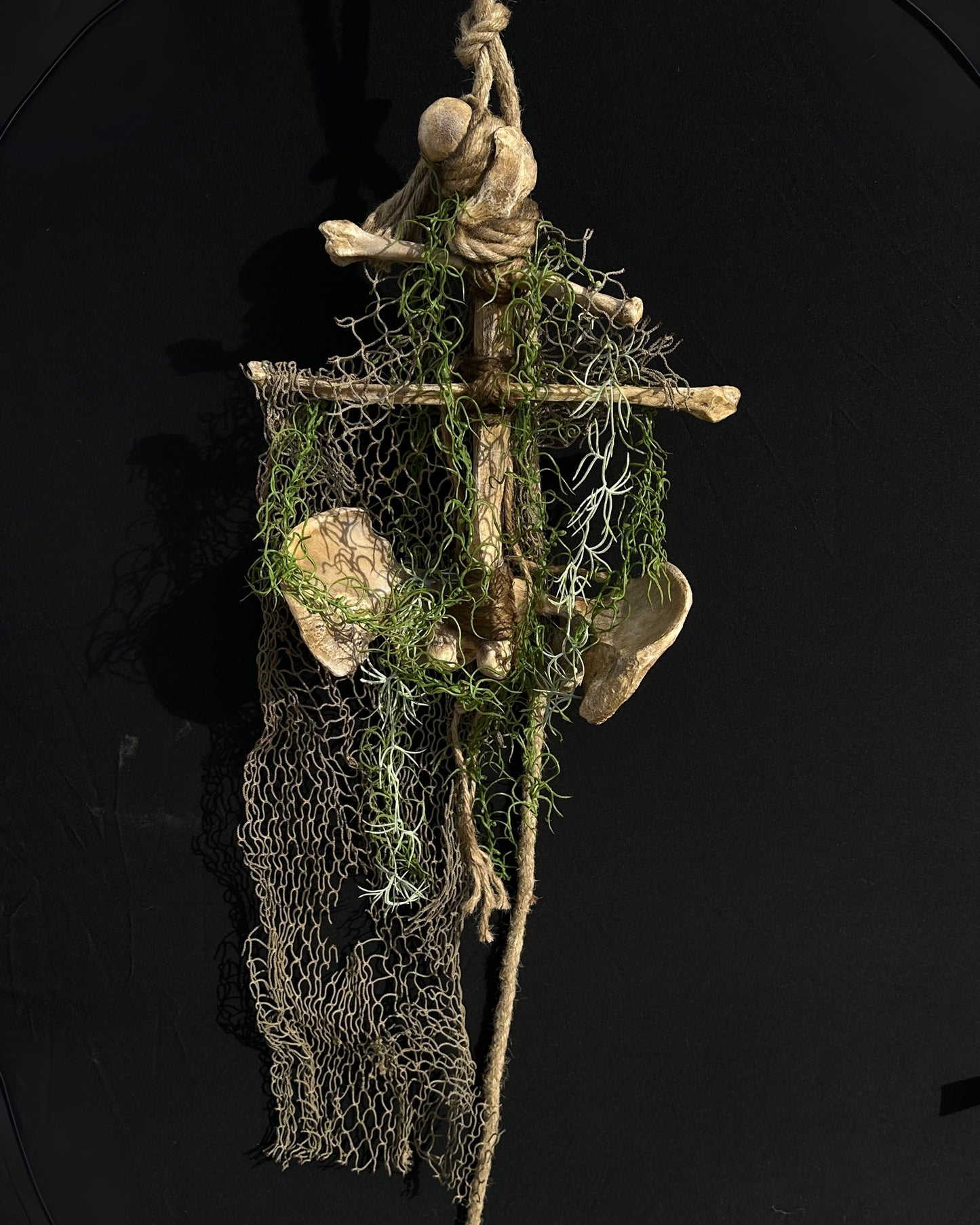 Plague Anchor