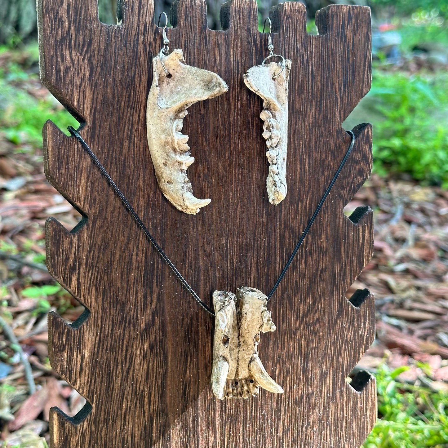 Raccoon Lower Mandible Earrings