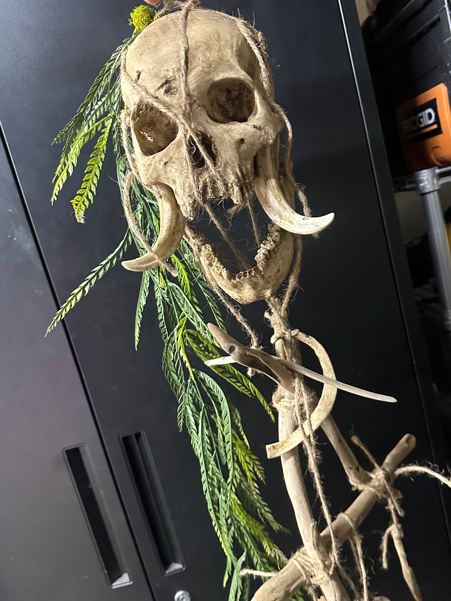 Tusk Hanger