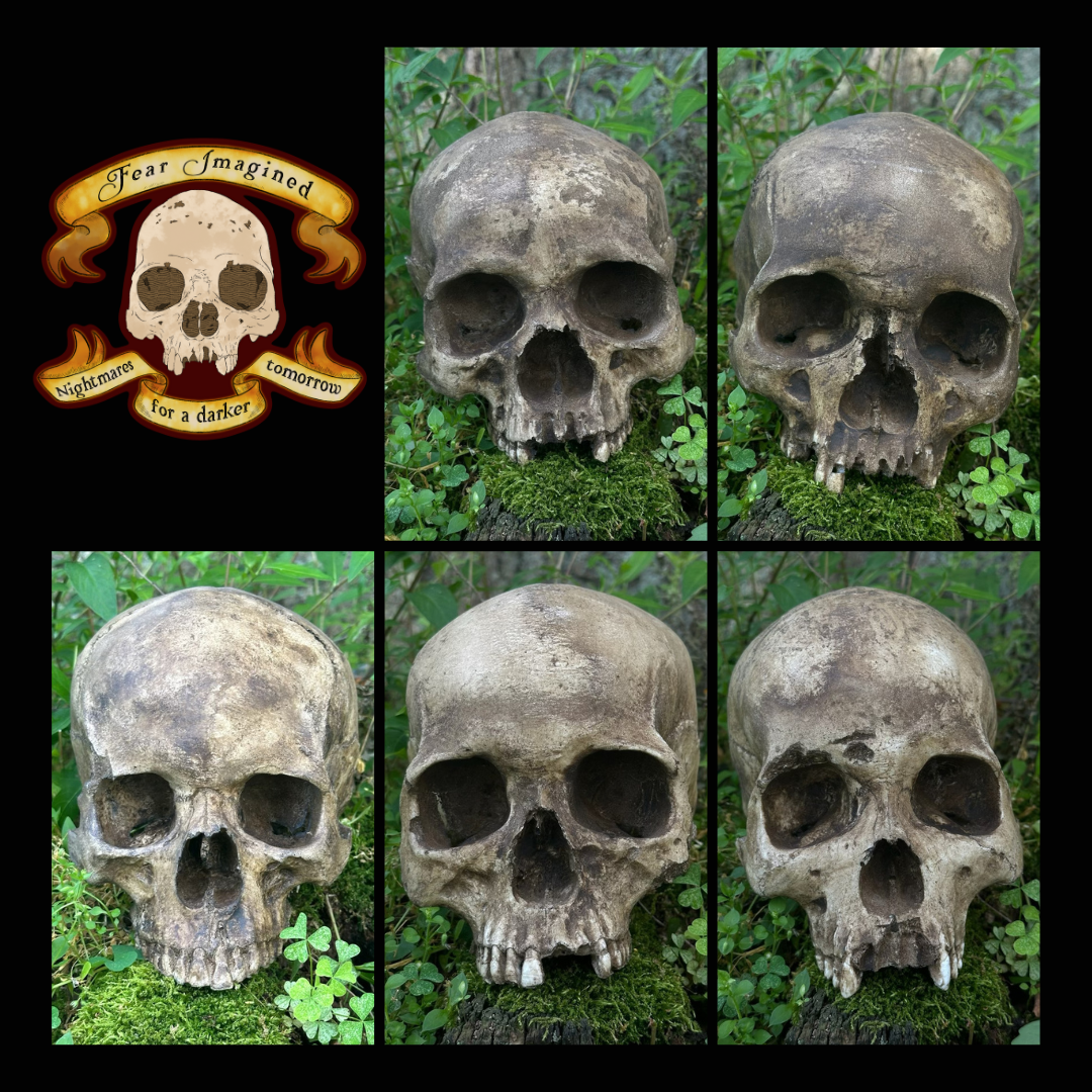 Real Skull Replica