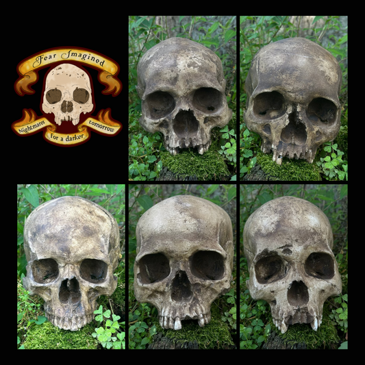 Real Skull Replica