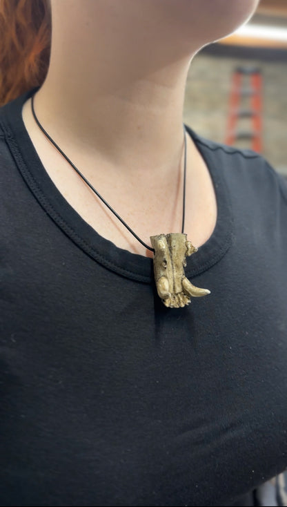 Raccoon Upper Mandible Necklace