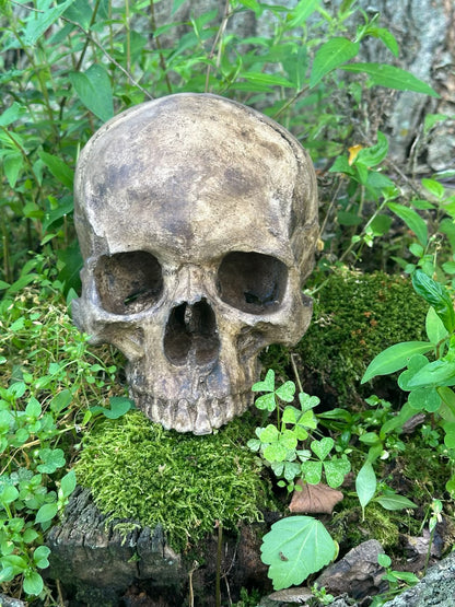 Real Skull Replica