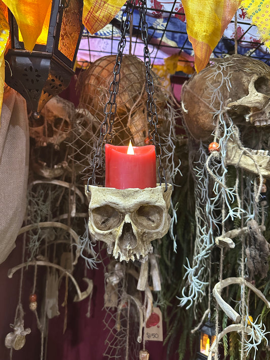 Half Skull Hanging
