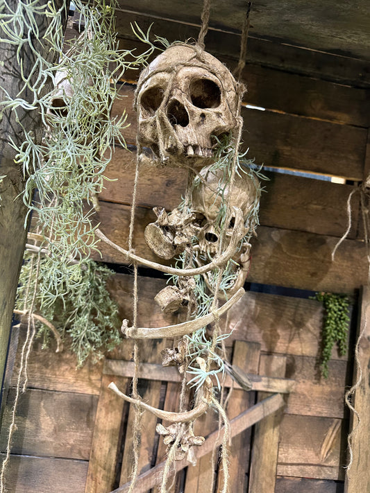 Harbinger Skull
